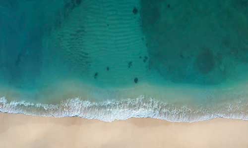 Ocean
