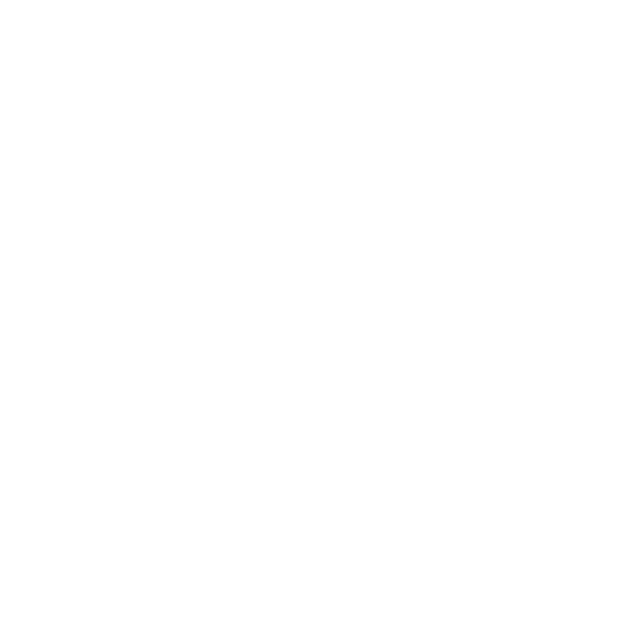 Sarah Berrier, créatrice de sites web à Rennes