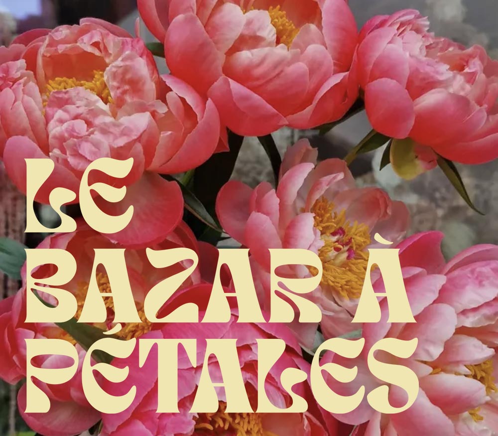 Le Bazar &agrave; P&eacute;tales - Cr&eacute;ation du logo et du site web