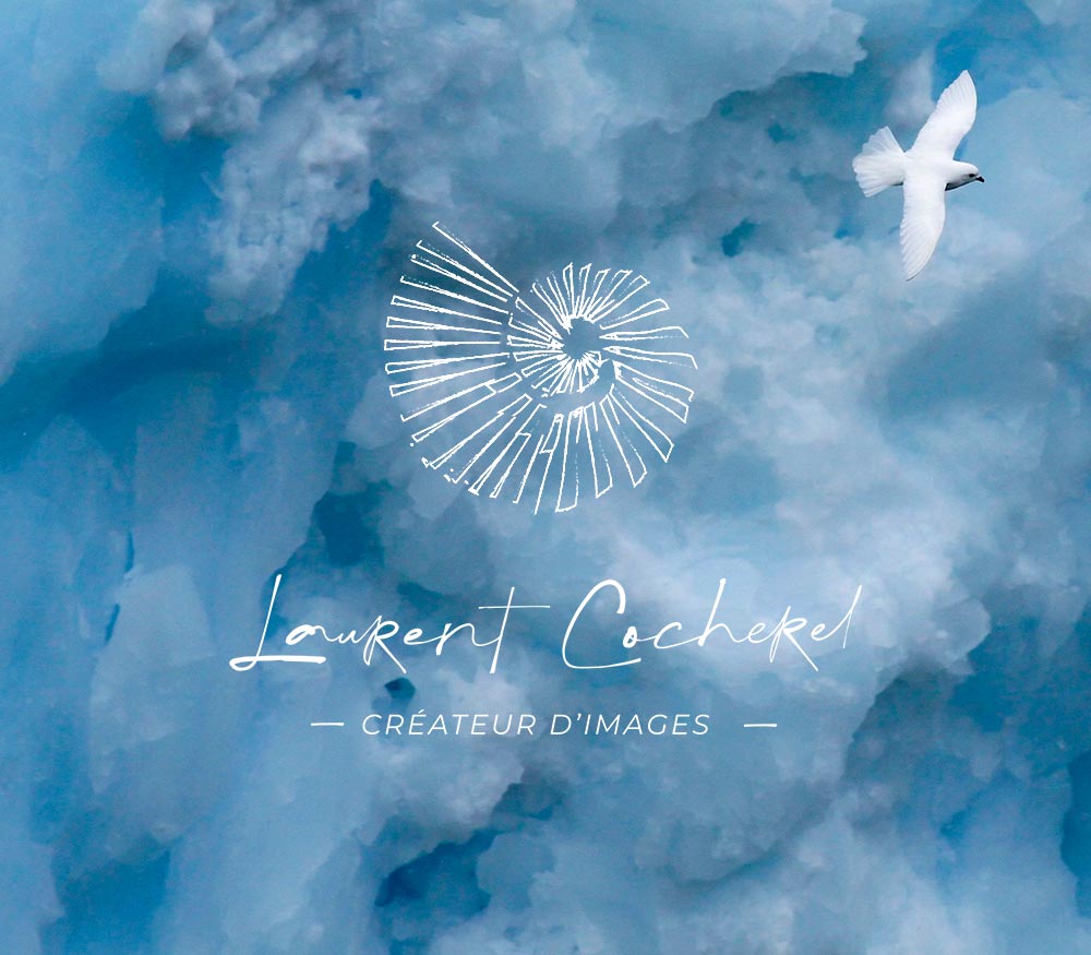Création du logo et du site web de Laurent Cocherel