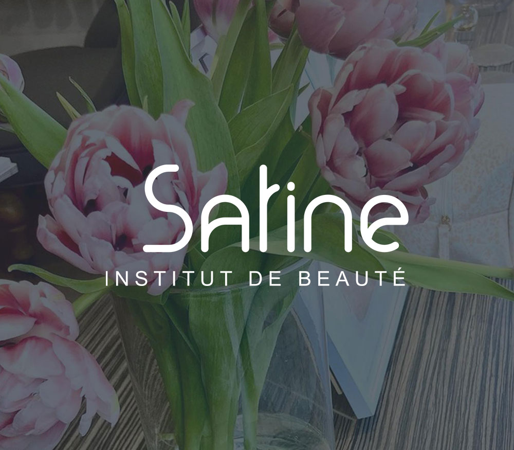 Création du site web de l'Institut Satine